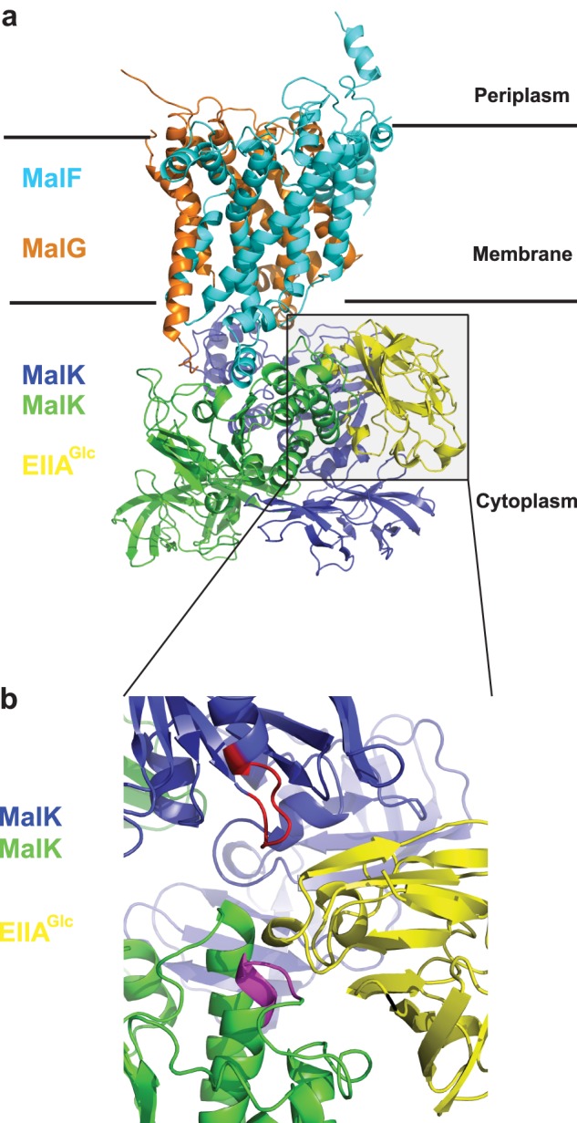 FIGURE 3.