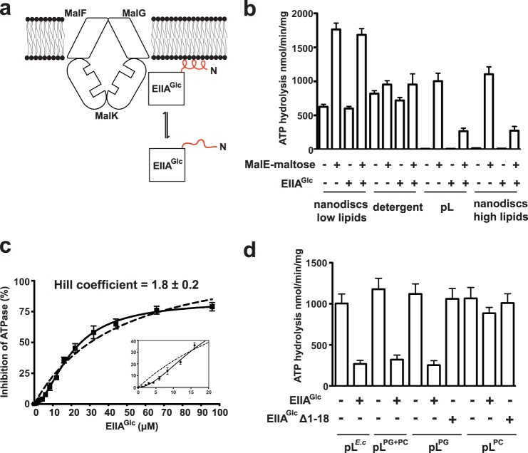 FIGURE 1.