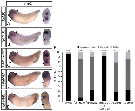 Fig. 9.