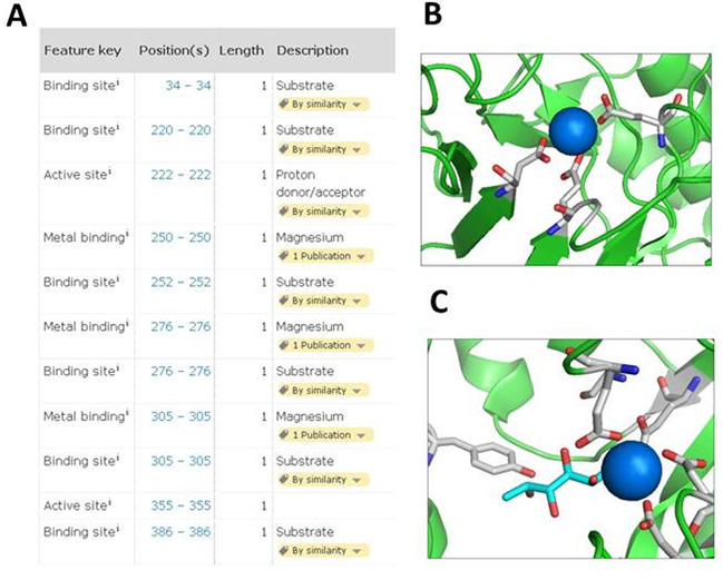 Figure 3.