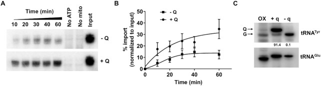 Figure 6.