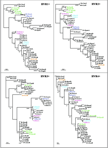 FIG. 4.