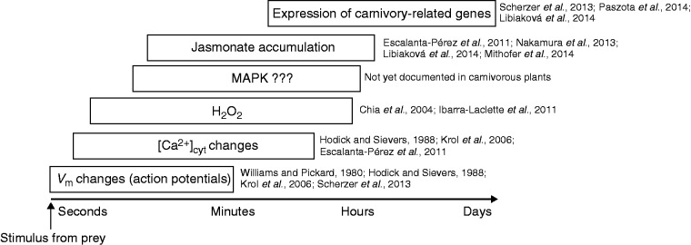 Fig. 5.