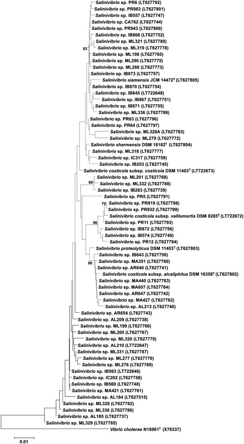 FIGURE 1