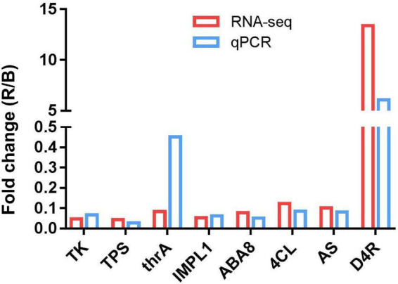 FIGURE 7