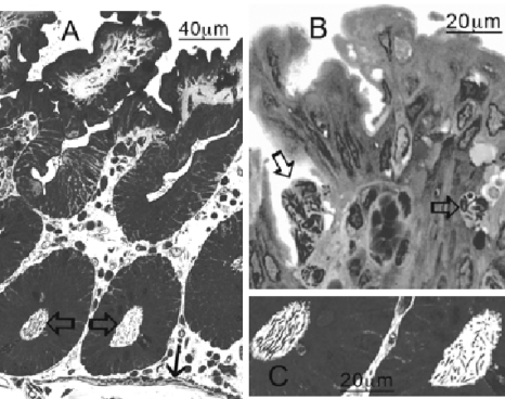 FIG. 3.