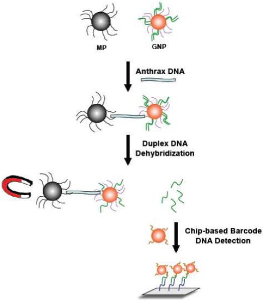 Scheme 4