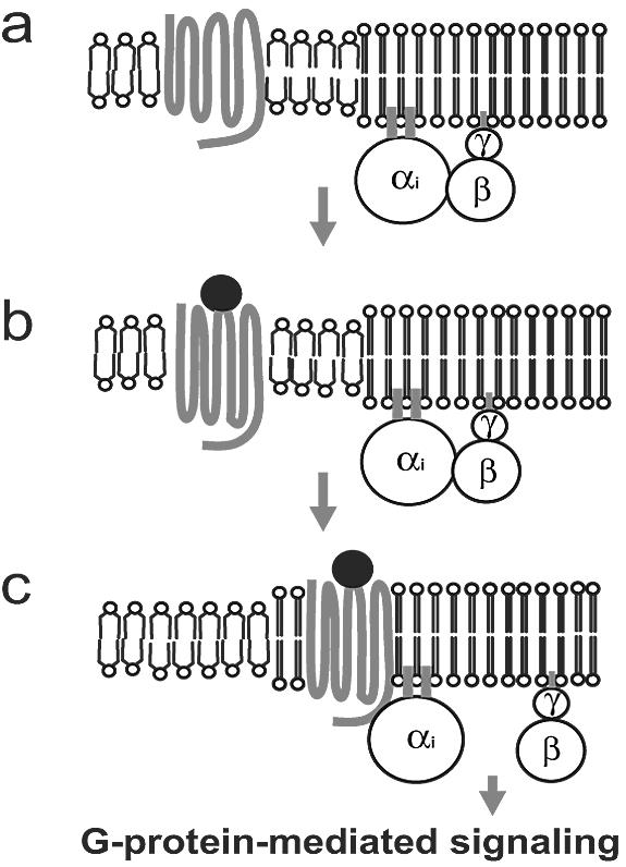 FIG. 8.