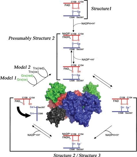 FIGURE 1.