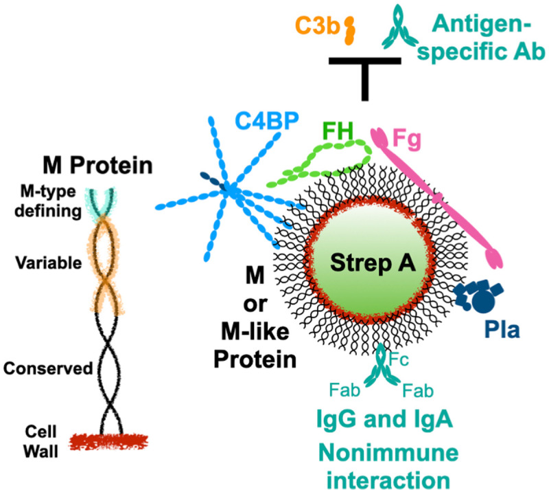 Fig 1