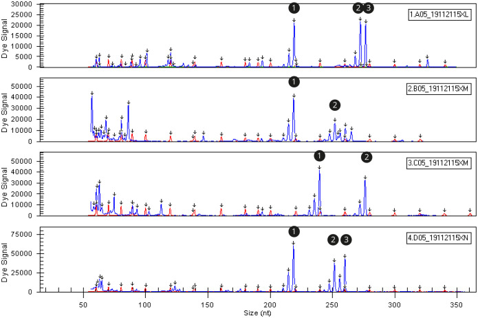 Fig 2