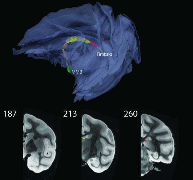 FIG. 9.