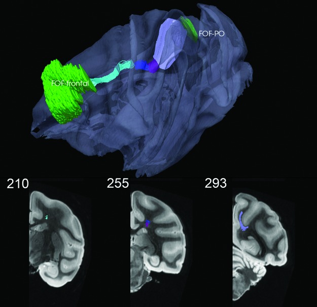 FIG. 8.