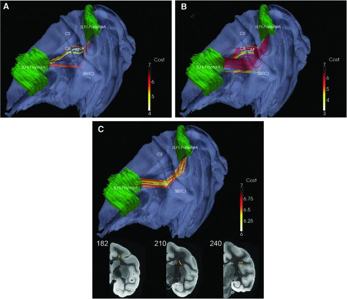 FIG. 1.