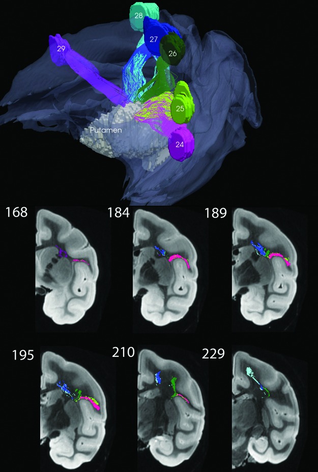 FIG. 10.