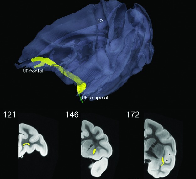 FIG. 7.