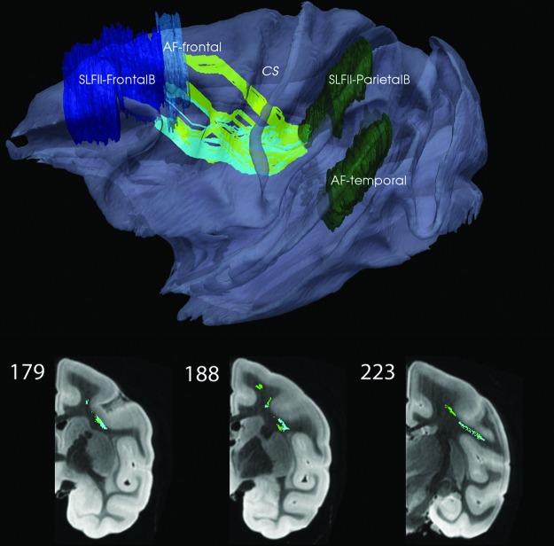 FIG. 6.