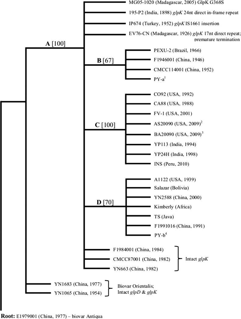 FIG. 1