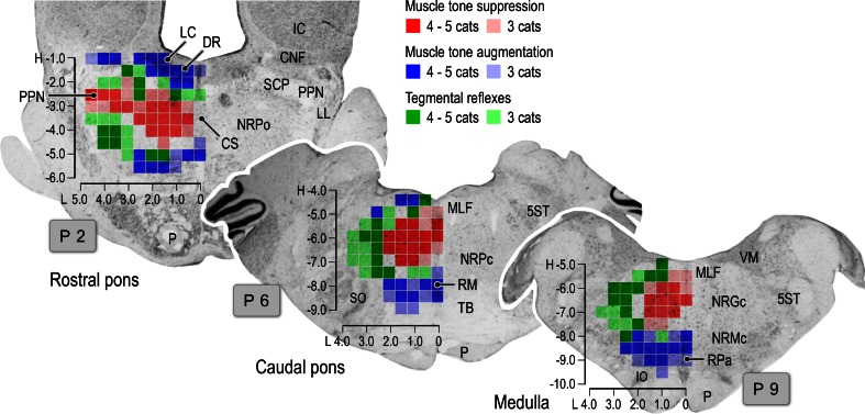 Fig. 7