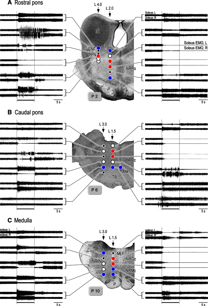 Fig. 6