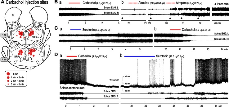 Fig. 10