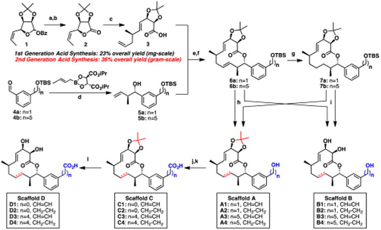 Scheme 1