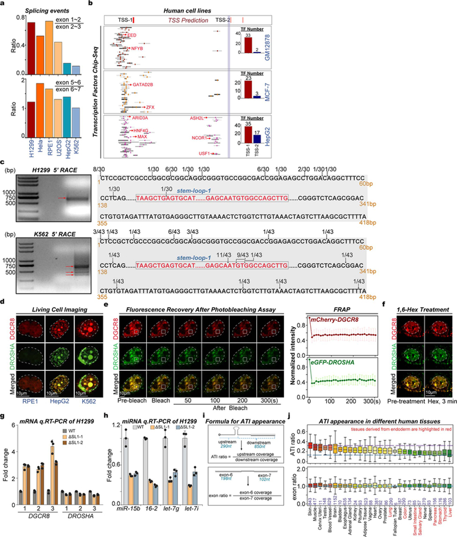 Extended Data Fig. 9 |