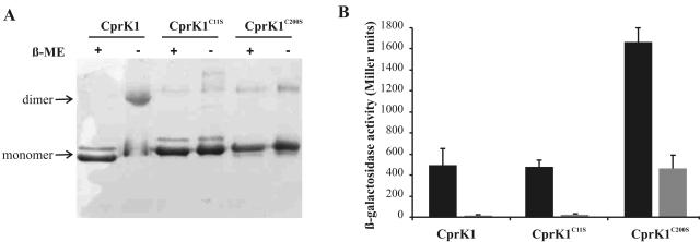 FIG. 8.