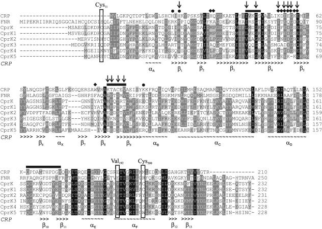 FIG. 6.