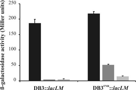 FIG. 7.