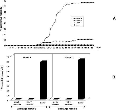 FIG. 7.