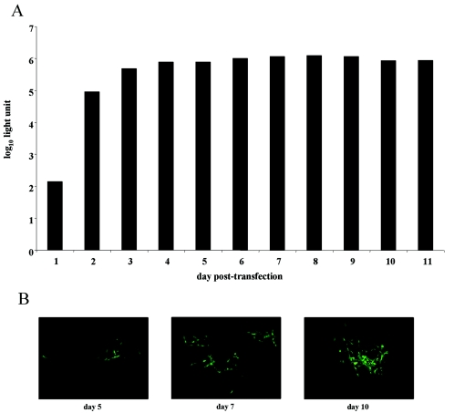 FIG. 3.