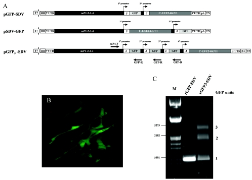 FIG. 6.