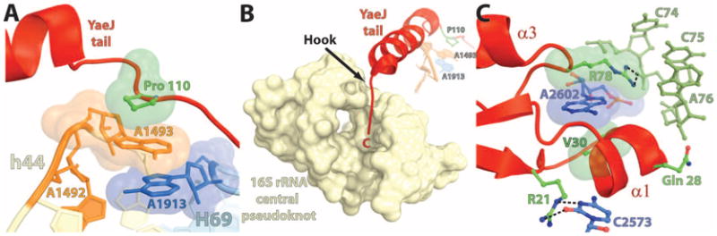 Fig. 3