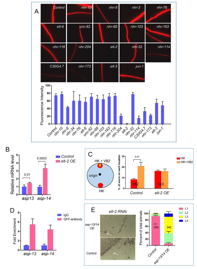 Figure 3—figure supplement 2.