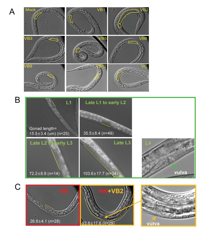 Figure 2—figure supplement 1.