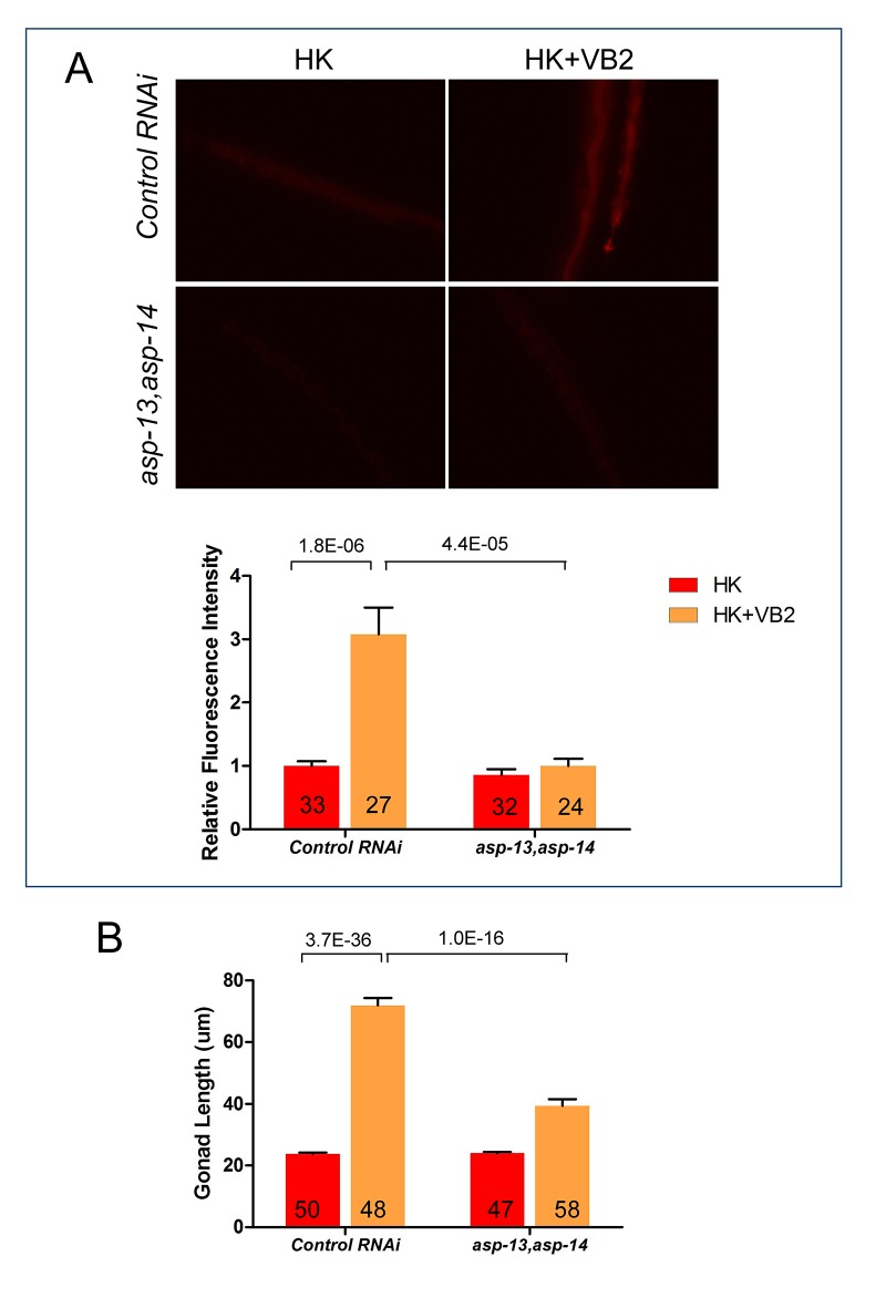 Figure 3—figure supplement 1.