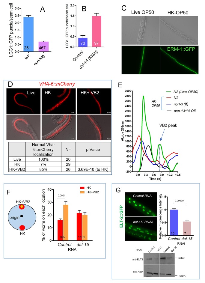 Figure 4—figure supplement 2.