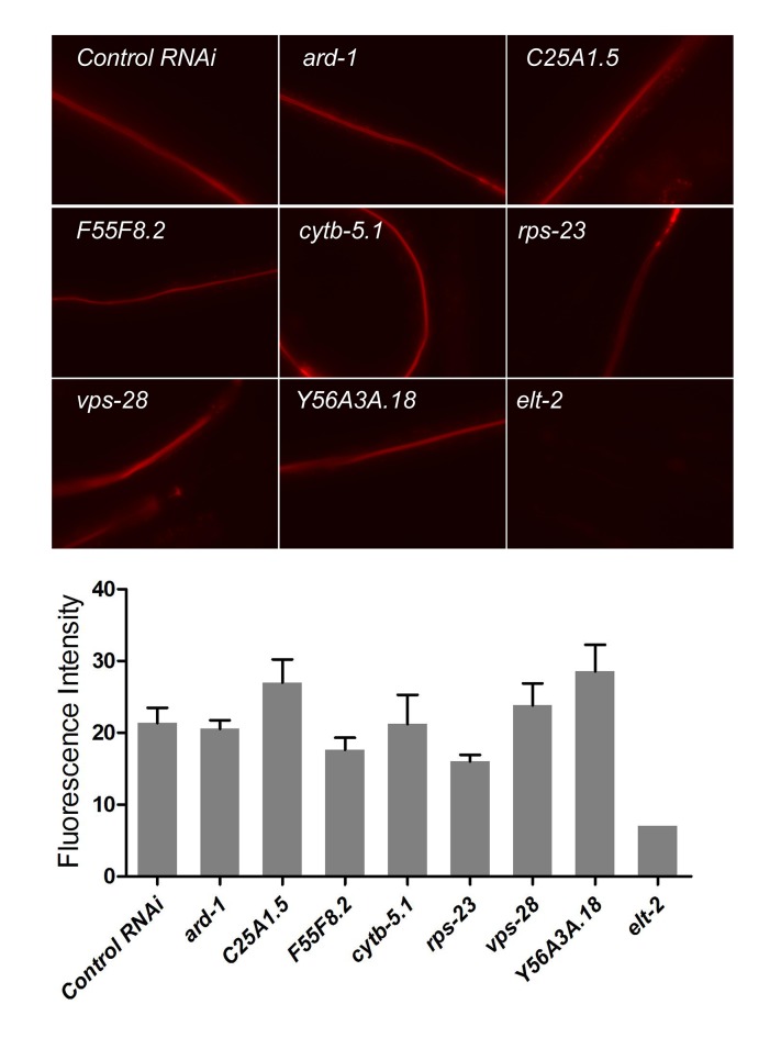 Figure 4—figure supplement 1.