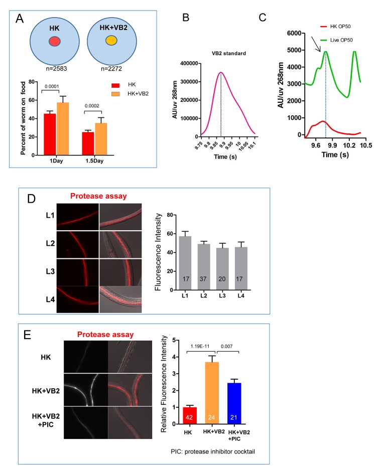 Figure 2—figure supplement 2.