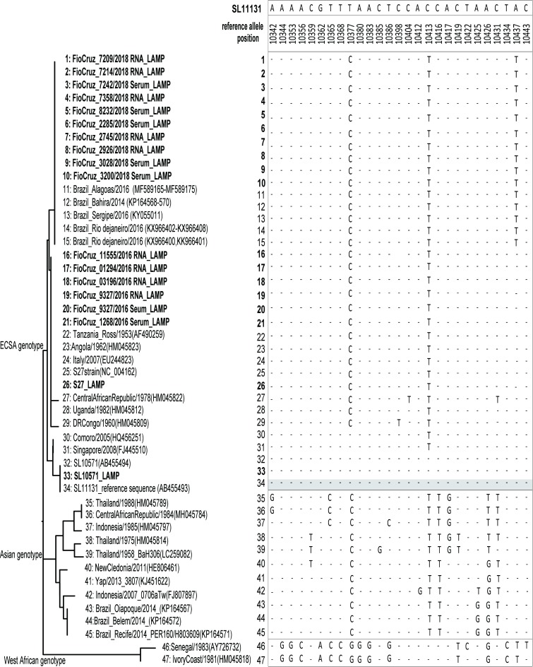 Fig 2