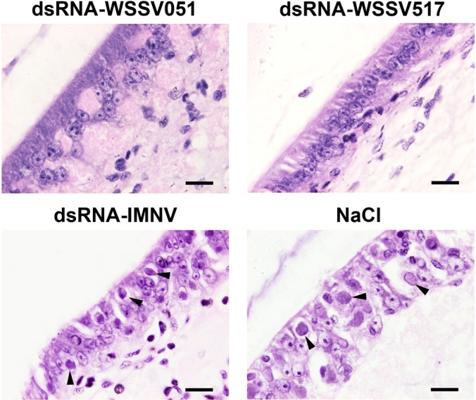 Fig. 6.