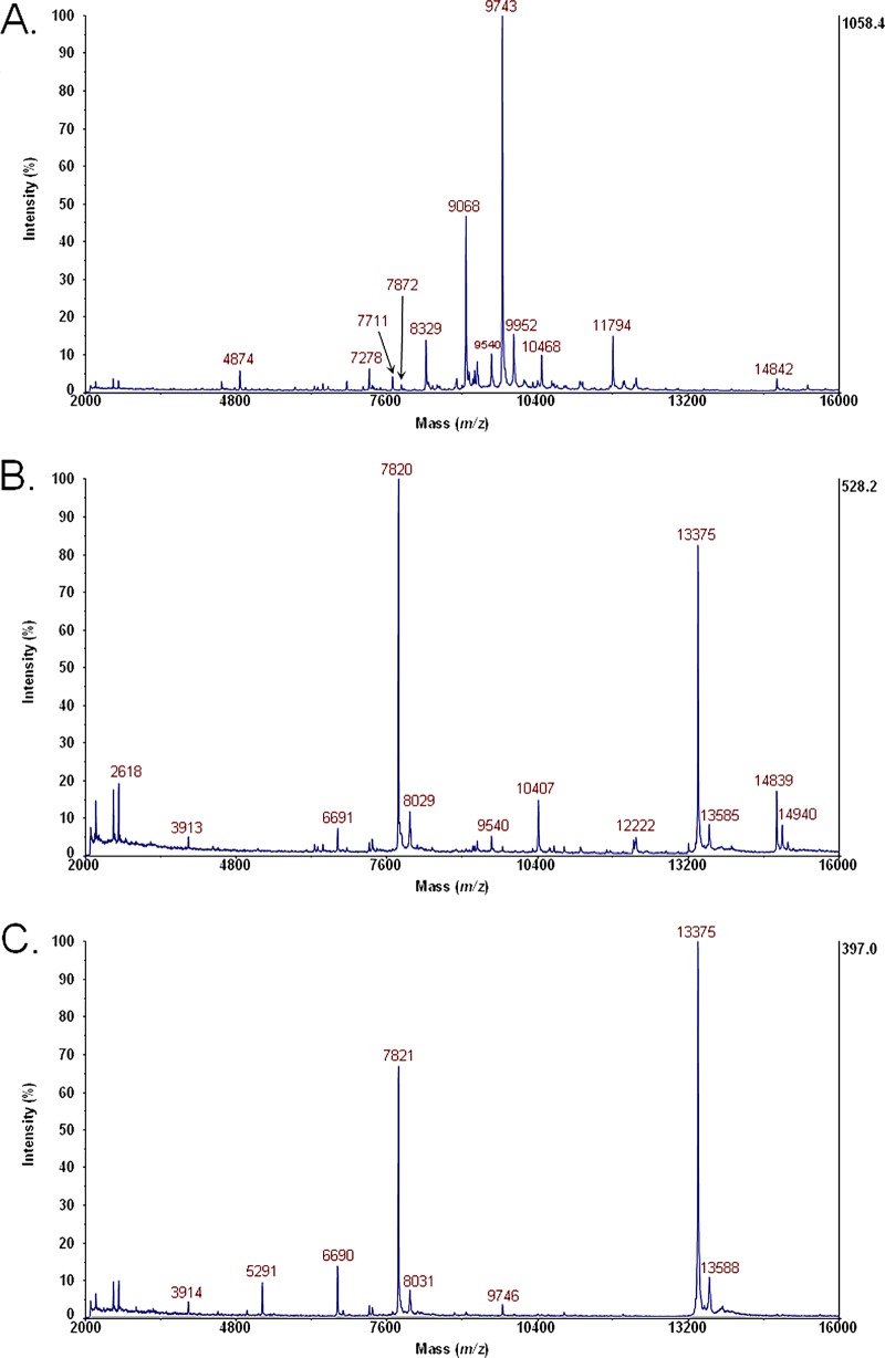 FIG 3