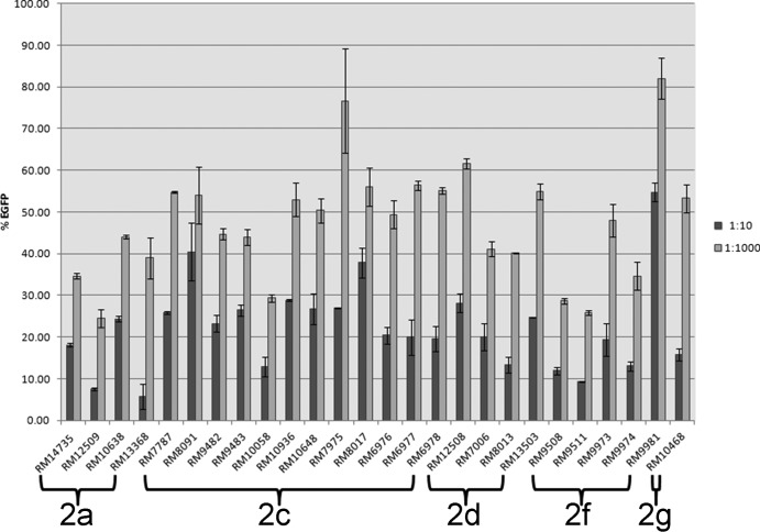 FIG 6