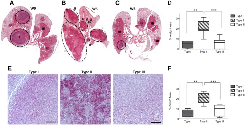 Figure 7