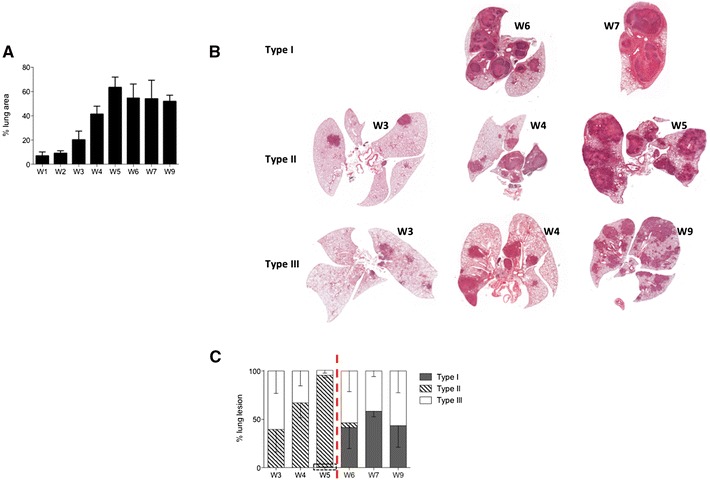 Figure 6