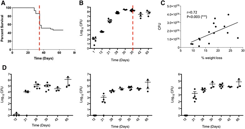 Figure 2