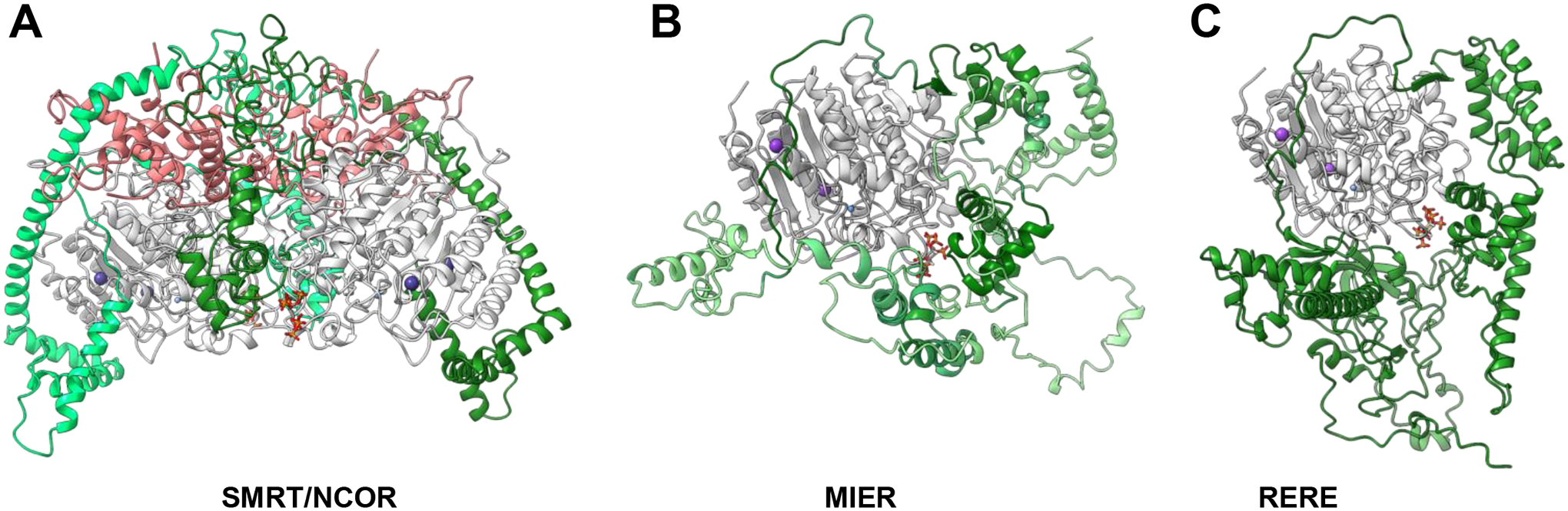 Figure 2.