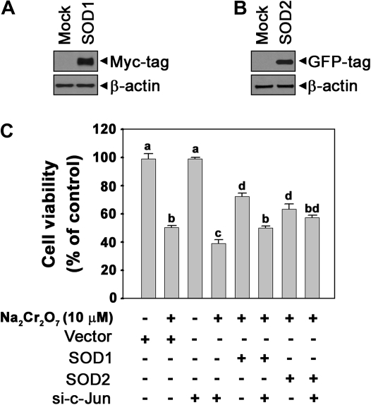 FIG. 8.