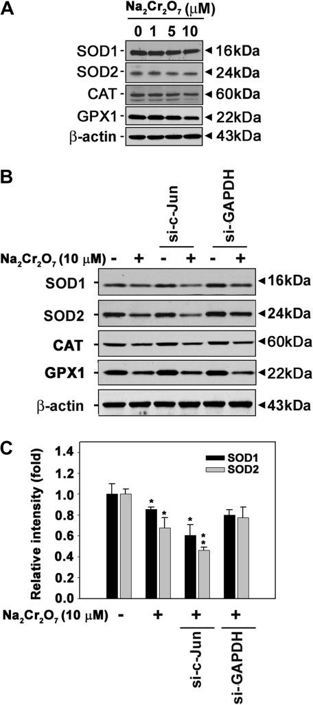 FIG. 7.